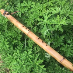 bass Native American Flute in low Bb 444hz sample