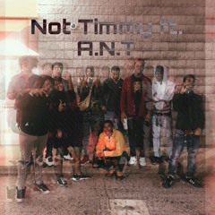 Not Timmy ft. A.N.T