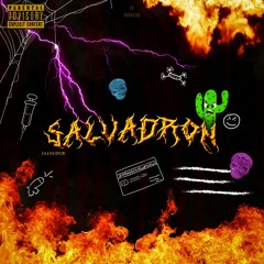 Salvador- cała płyta 11w1 SALVADRON 20min