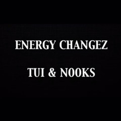 Energy Changez - Tui & Nooks KVT