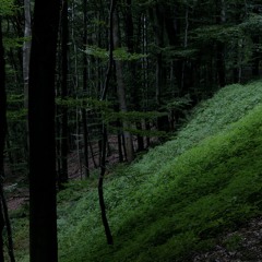 Poriyatajvar[ remix energia natural] DARK PSY(LIVE SET).mp3