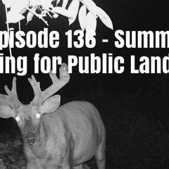 Episode 136 - Summer Scouting for Public Land Bucks