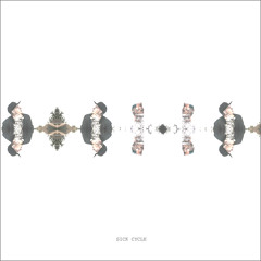 Sick Cycle - The Young One