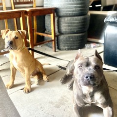 cant stop winning ft.Noe Luck