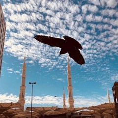 تحبير بديع لسورتي المعارج ونوح للشيخ أحمد طالب فجر السبت ٢١-١٠-١٤٤١هـ