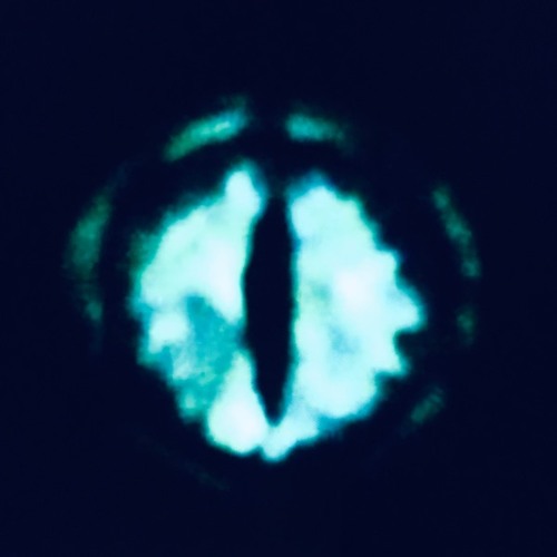 Opus 42