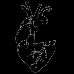 ماذا أقول له؟ - نزار قباني