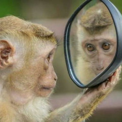 Cinta persinggahan 2020 [ Mr-ipal ] special Req (bos hekal-jm) budak lapak