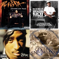 2 Of Amerikaz Most Wanted