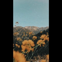 [FREE] Jack Harlow x Drake Type Beat "Sundown"