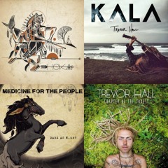 Hippie Reggae  (Trevor Hall, Xavier Rudd, Nahko, Franti)