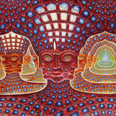 the qualia collection