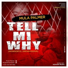 Mula Palmer  - TELL MI WHY ( wonderful dream RIDDIM) mixed by heavens music