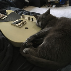 Ring around the Rose