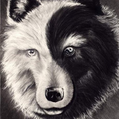 Confused? (ft. Dave Chappelle)