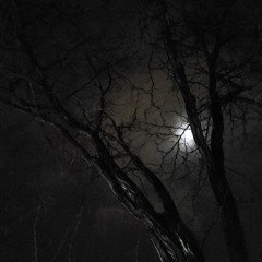 Cogs to a greater power