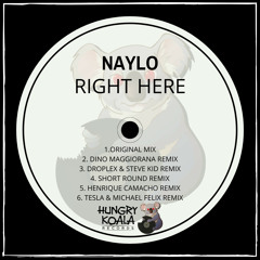 Naylo - Right Here (Shortround Remix)