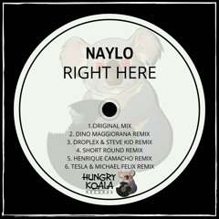 Naylo - Right Here (Droplex & Steve Kid Remix)