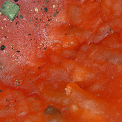 Catching thoughts DEMO