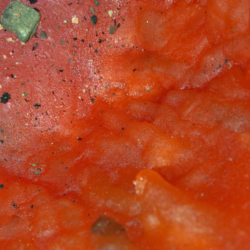 Catching thoughts DEMO