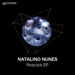 Natalino Nunes - Peacock (Original Mix) [Transmit Recordings]