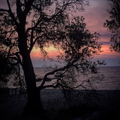 VK - Vibes