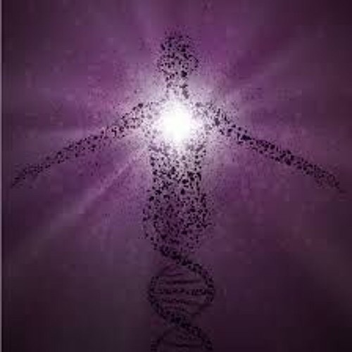 The Apparition