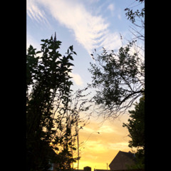 Disco disco #discohouse #housemusic #discoremix