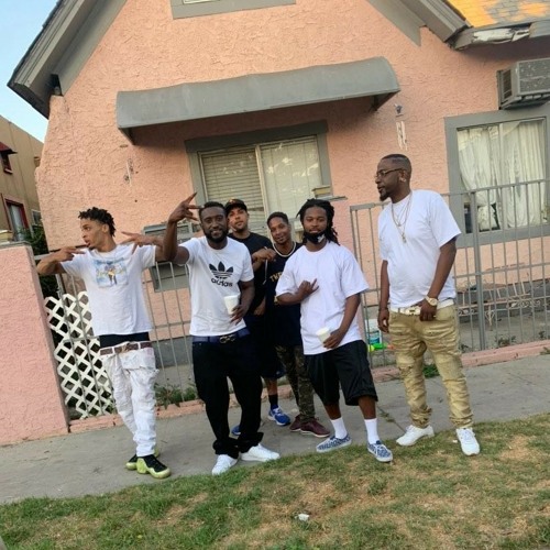 Solid DirtyBird✨🐦✨