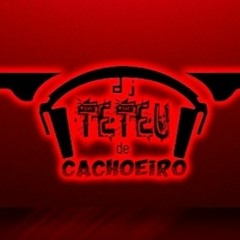 MT - ELA QUER JOGAR PRO TREM {{ DJ TETEU }} MC'S POZE, ZANGÃO