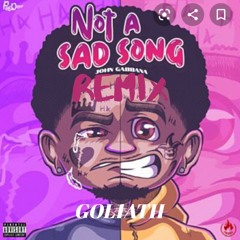 Not A Sad Song (Remix)