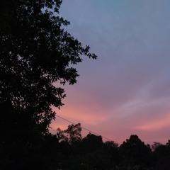 new york city- adrianne lenker