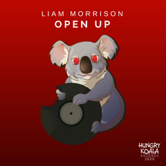 Liam Morrison - Open Up (Original Mix)