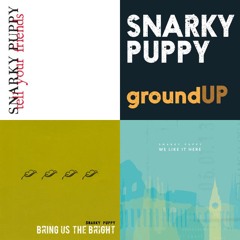Snarky Puppy – We Like It Here