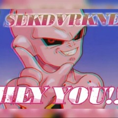 LILSEKDVRKNESS "HEY YOU"(Prod. Lilsek beat x noahlacanoa)