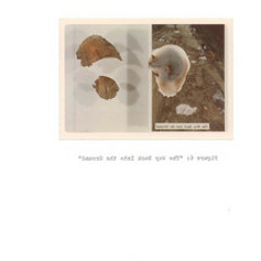 The Anteroom Influences (LOTOU 1.1)