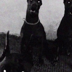 pop smoke_ pd.wondagurl