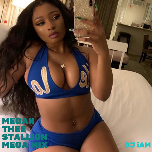 Megan Thee Stallion Mix