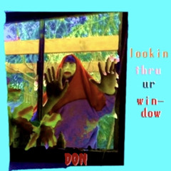 lookinthruurwindow (DONMIX)