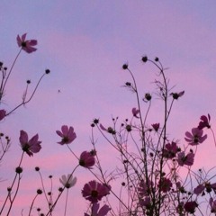 Love songs- Kaash Paige