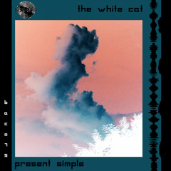 The White Cat - I Touched You (Original Mix)