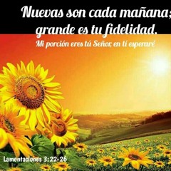 Cristo es ese alguien a quien te puedes abrir, si existe alguien cuando no hay nadie, si existe alguien Admirable que me ama!!❤⚘🌹🎻