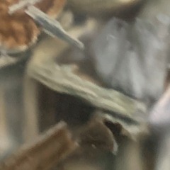 full access full feeling