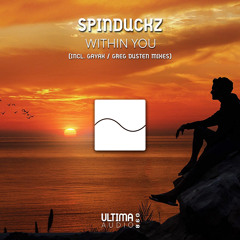 SpinduckZ - Within You (Original Mix)