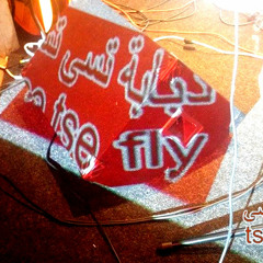 Tse Tse Fly Middle East # July 2020 - Tuesday 7th July 2020