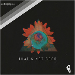 audiographie - That's Not Good (Original Mix)