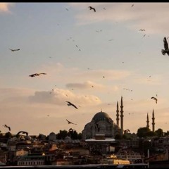 حلم مبرور 💙 عمار صرصر بدون موسيقي