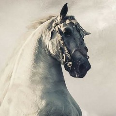 Mitha Bolke Nirvair Pannu