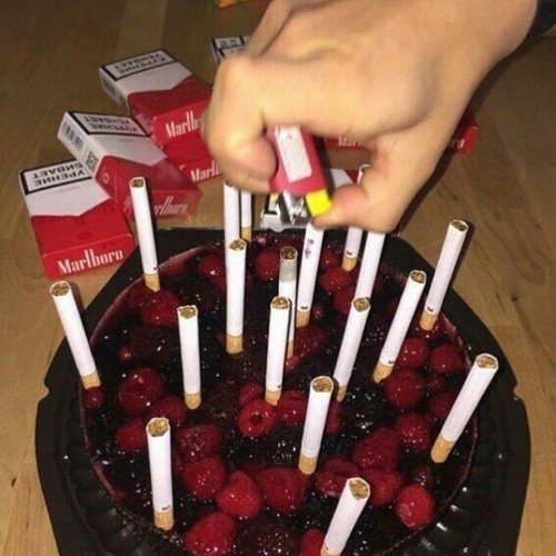 Shiloh Dynasty - No I Don't Want, Just Anyone (slowed)