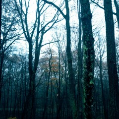 walk home
